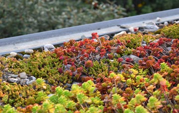 the cost of Lowford green roof installation