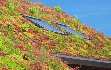 Lowford living roof systems
